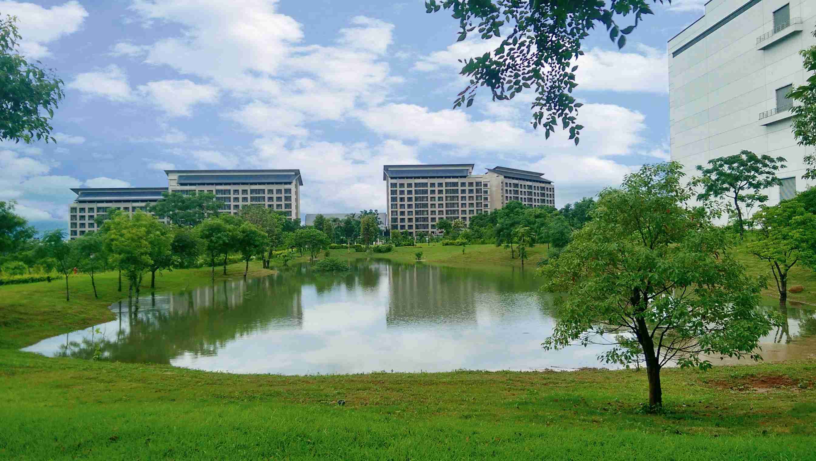 传奇国际响应国际倡议生物多样性趋势，，，，首次发布TNFD自然相关财务揭露报告书，，，擘划及开展传奇国际生物多样性政策之承诺，，，逐步迈向与自然和谐共生